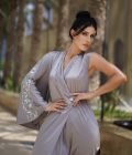 Chic Silver/Silk Dress