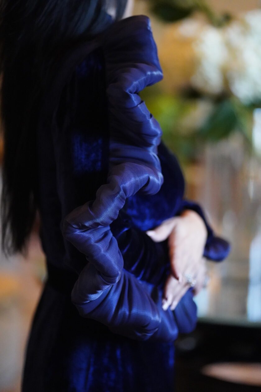 Blue Swan/ Velvet Dress - Figura 6
