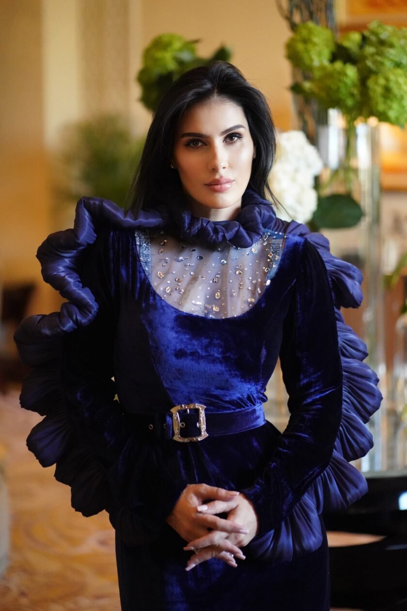 Blue Swan/ Velvet Dress