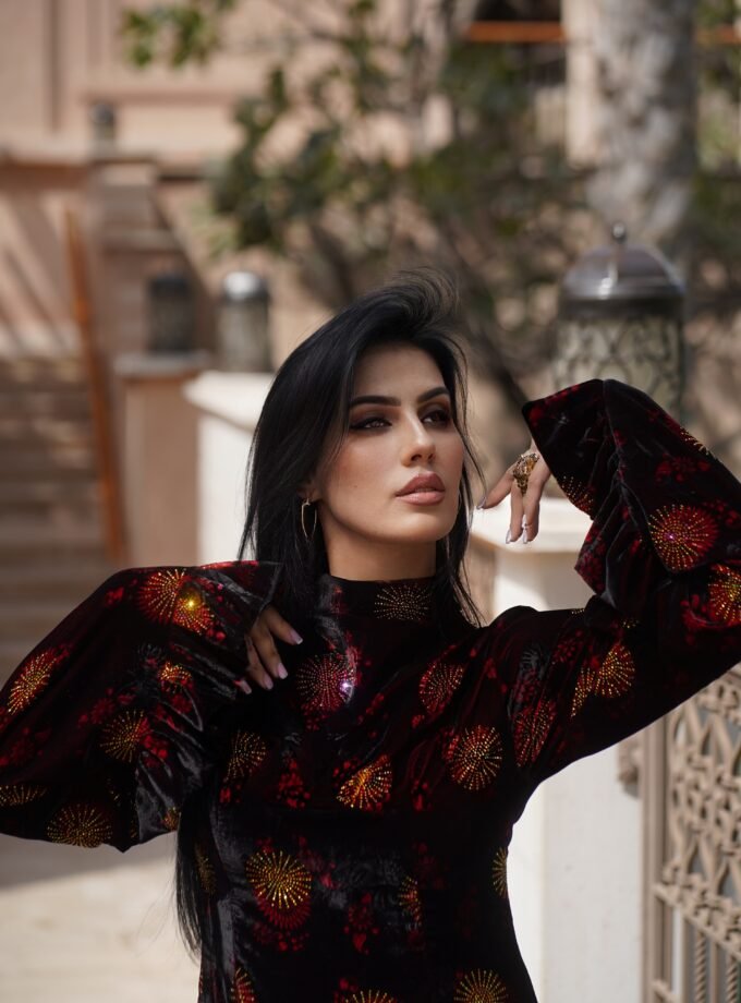 Royal Frequency /Velvet Dress